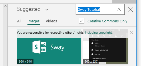 Sway image search options