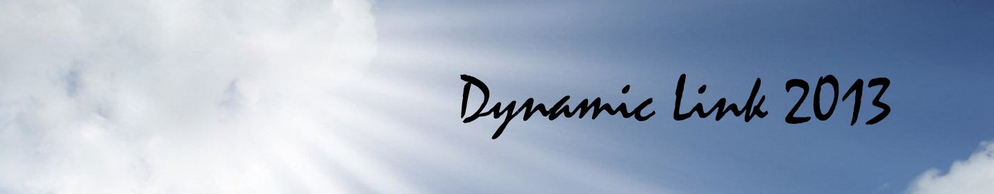 Dynamic Link 2013